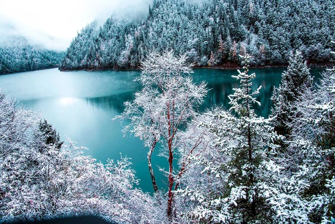 国内6个最佳赏雪地，远离喧嚣美成天堂，雪落成诗