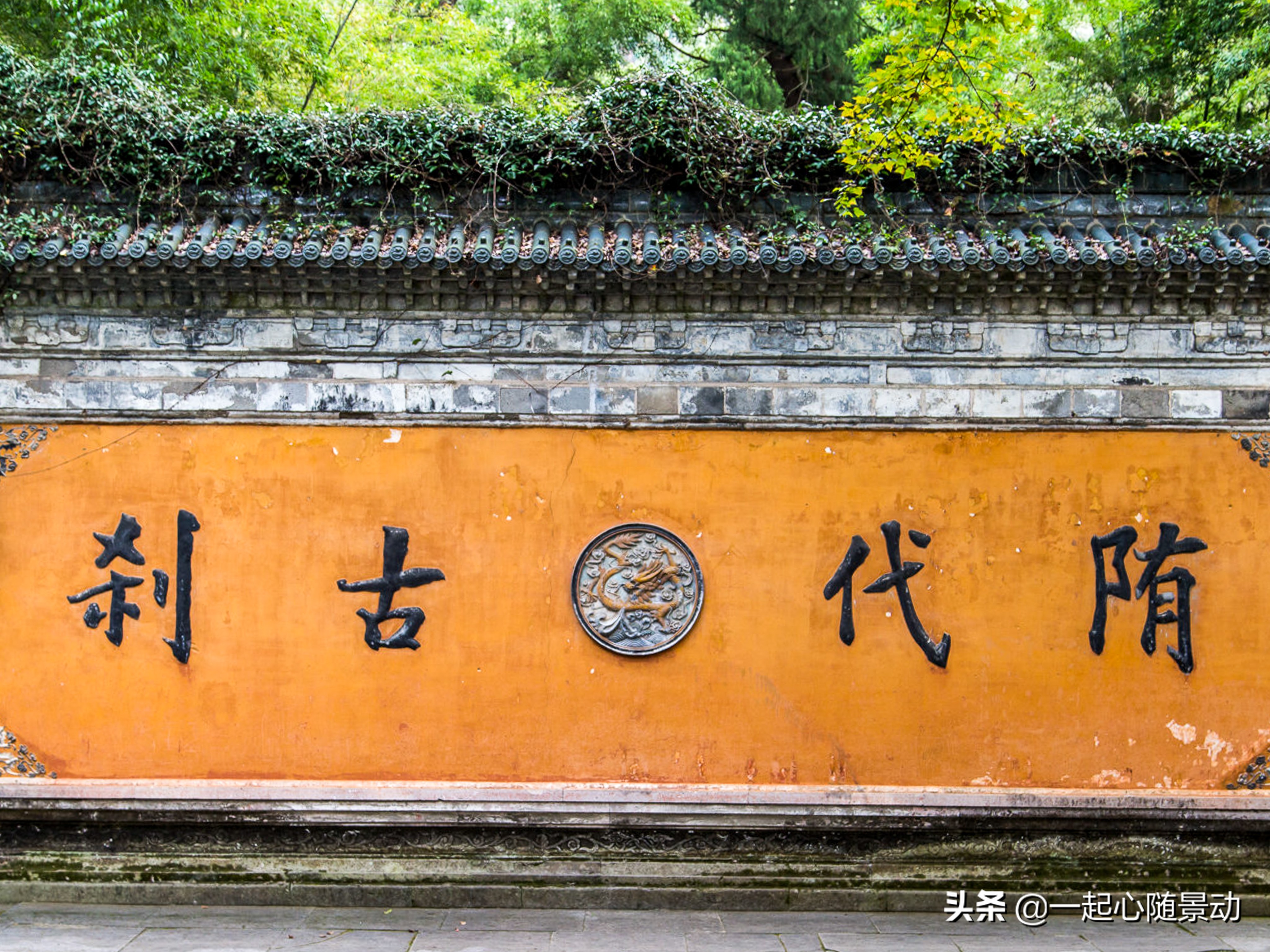 浙江这三个景区口碑好,还不收门票,你去过吗?