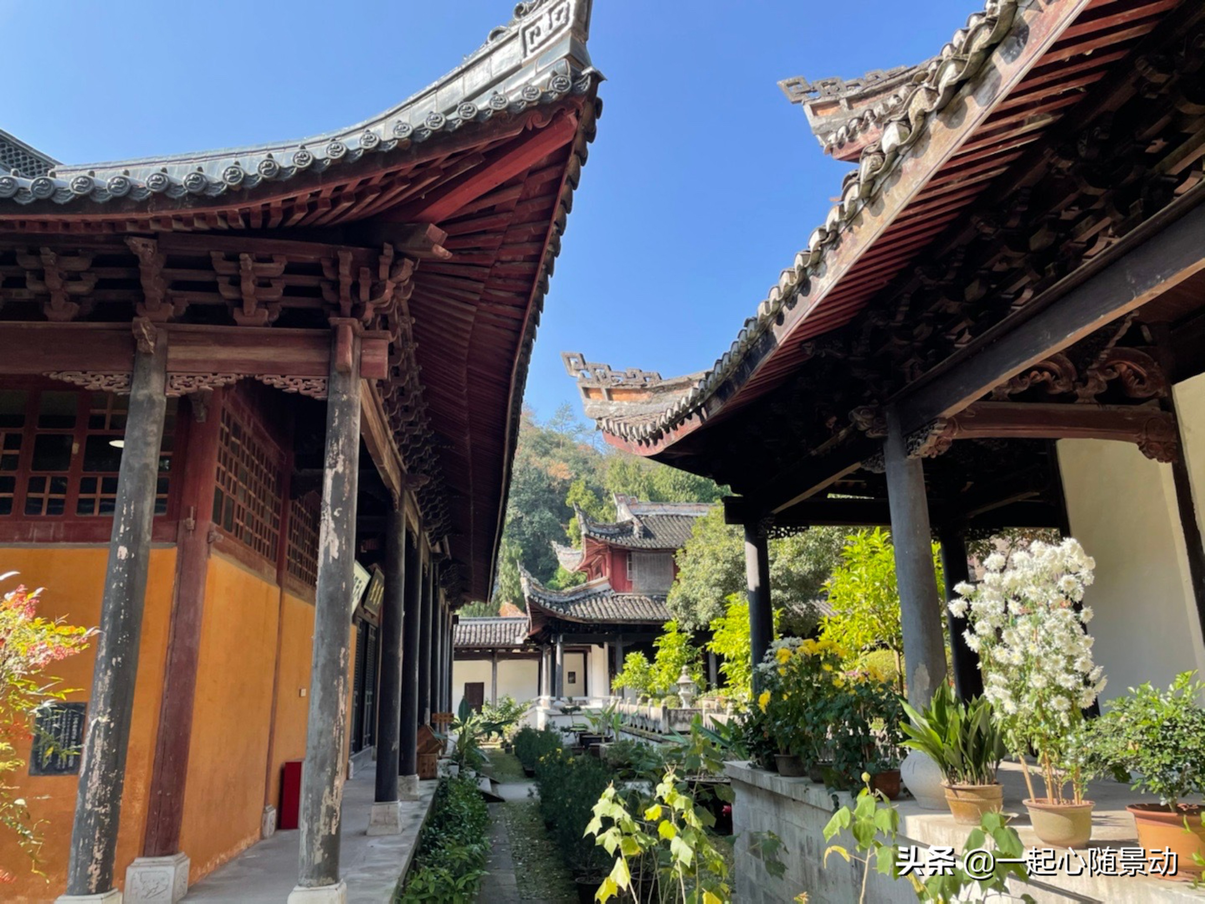 浙江这三个景区口碑好,还不收门票,你去过吗?