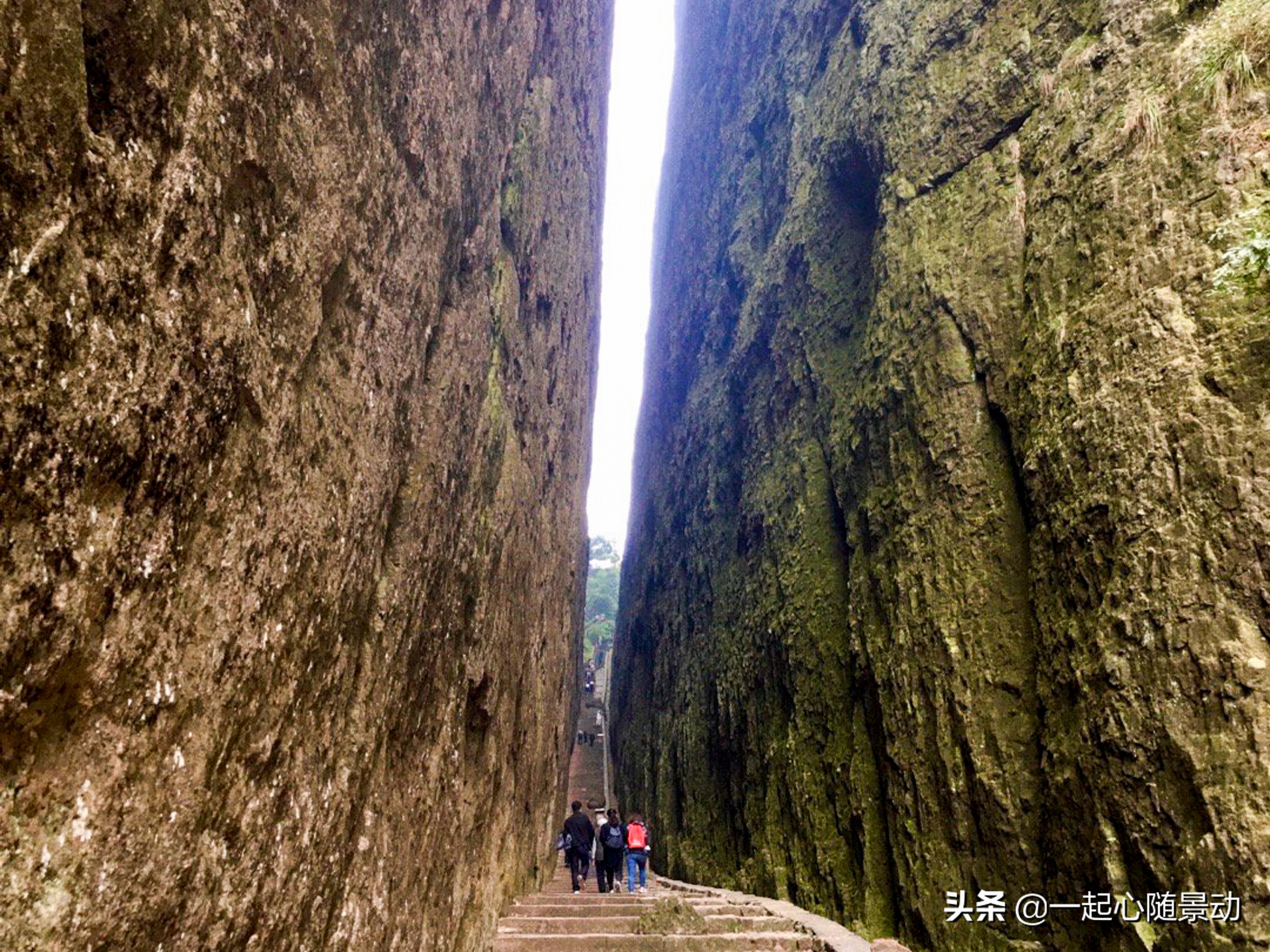 浙江这三个景区口碑好，还不收门票，你去过吗？