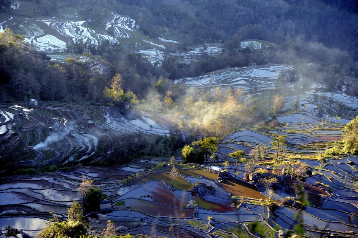 国外景点弱爆了，国内12月这5个最佳旅行地，今年没去算你损失