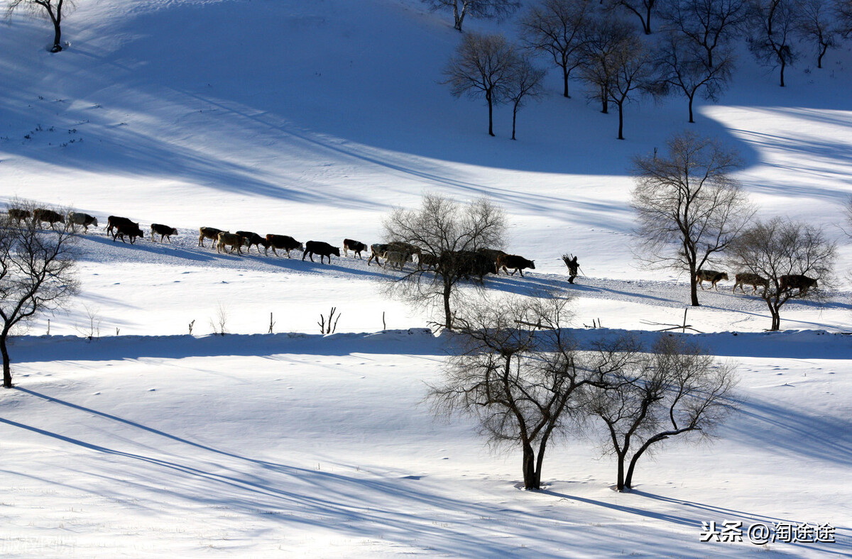 中国5个童话世界,处处不逊色于雪乡