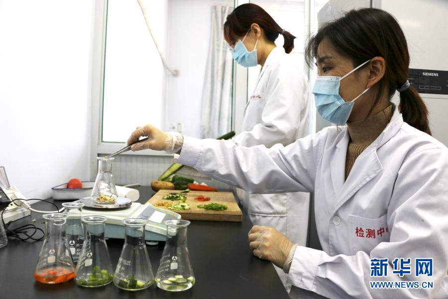 12月8日，在承德县农产品质量检验检测中心实验室，工作人员对提取的蔬菜样品进行检测。新华社发（刘环宇 摄）