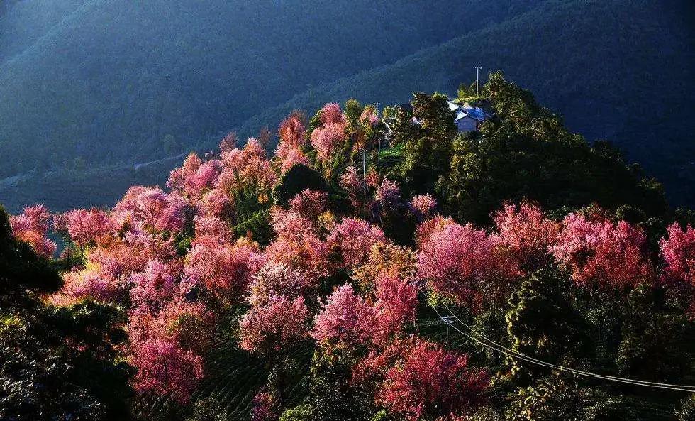 适合两个人的旅行清单,再忙也要一起去