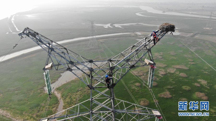 电力工人爬上铁塔加固鸟巢（12月12日摄，无人机照片）。新华社记者 周密 摄