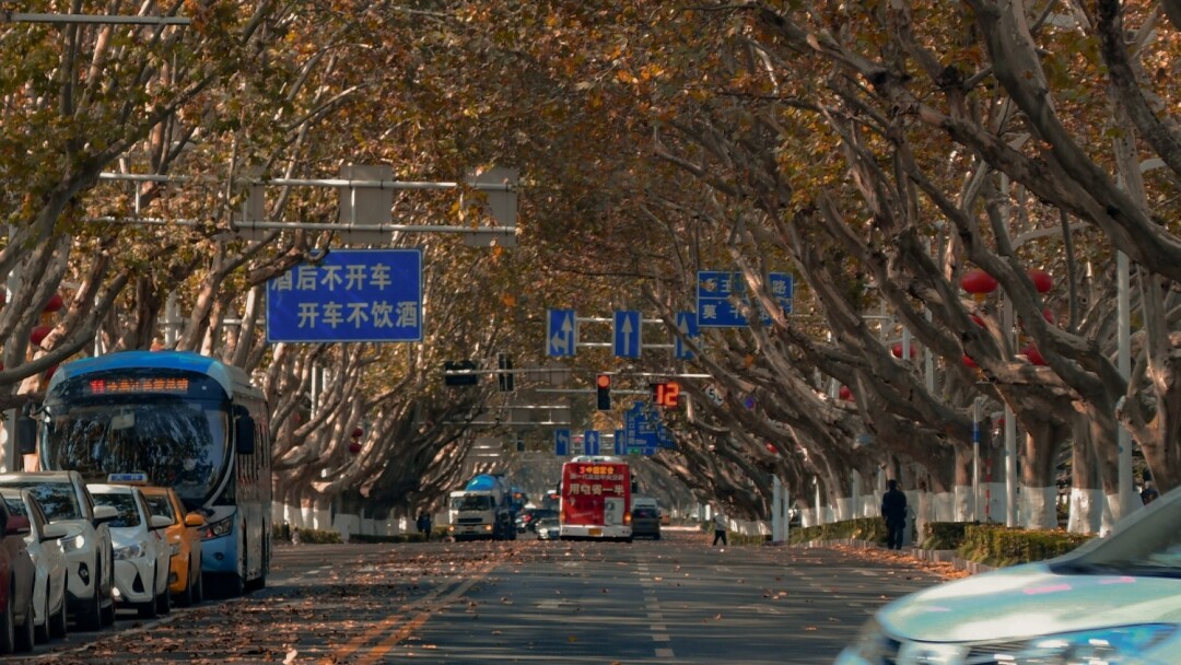 中国最美的10个落叶观赏地，你去过几个？