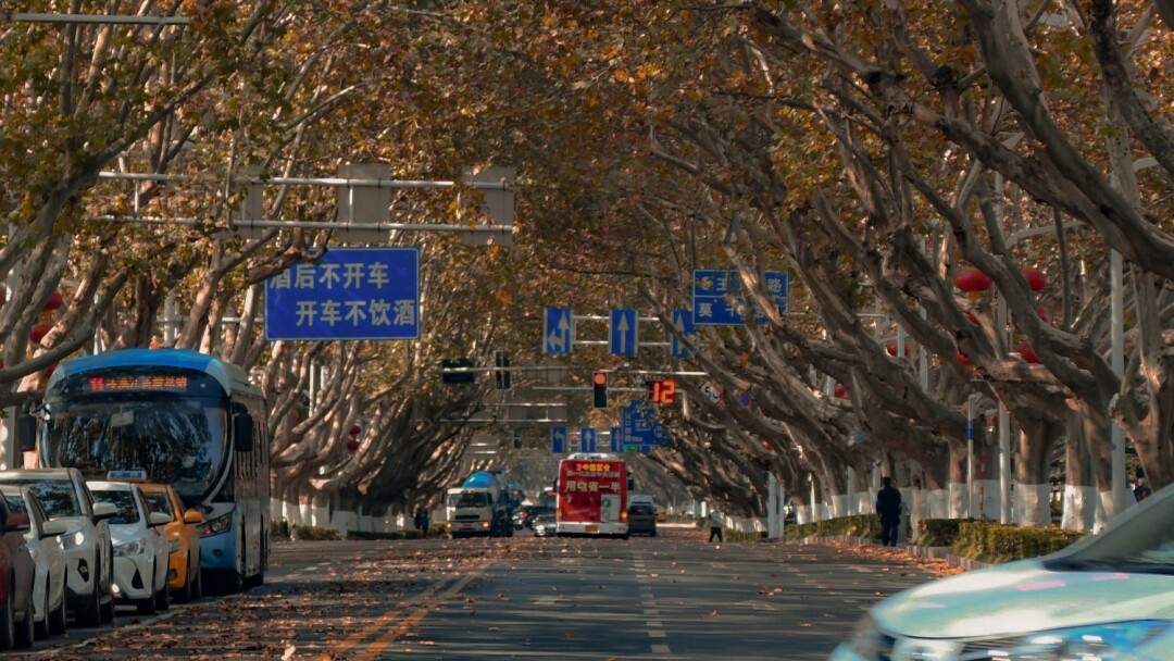 中国最美的10个落叶观赏地,你去过几个?