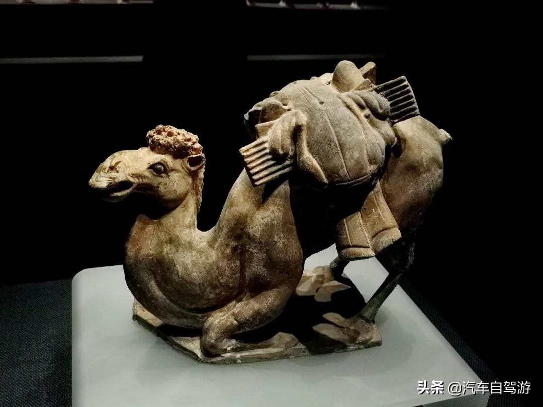 河北邯郸北朝考古博物馆，收纳王朝瞬间的璀璨