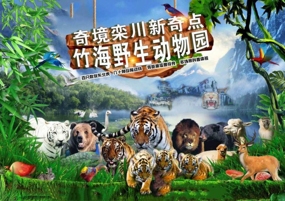 洛阳当地人旅游必去三大景点,景色漂亮不要门票,适合亲子出游
