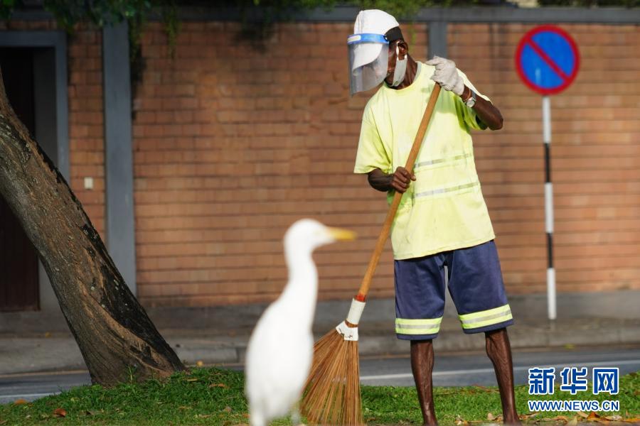        12月19日，一名清洁工人在斯里兰卡科伦坡贝拉湖畔打扫卫生。　　位于斯里兰卡科伦坡市中心的贝拉湖被称为“城市绿洲”，鹈鹕和鹭鸶是这里的常客，偶尔也有彩鹳等其他鸟类驻留。　　新华社记者 唐璐 摄