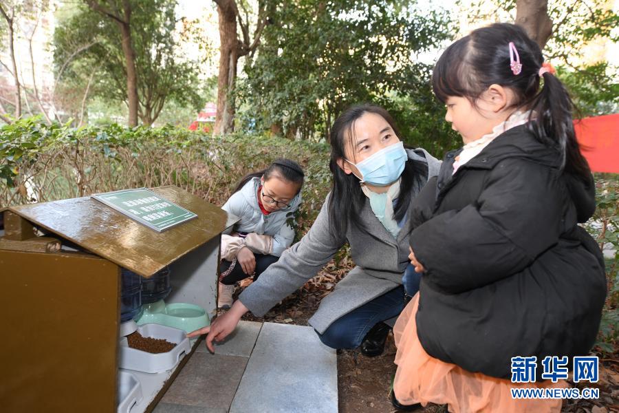 12月20日，浙江理工大学动物法研究所负责人钱叶芳向社区小居民介绍流浪动物避风港的功用。当日，杭州江干区海天社区举行文明养宠宣传活动，来自社区和高校的志愿者开展宠物义诊、流浪猫领养、文明养犬宣传等，探索建立动物管理基层群众自治机制。新华社记者 翁忻旸 摄