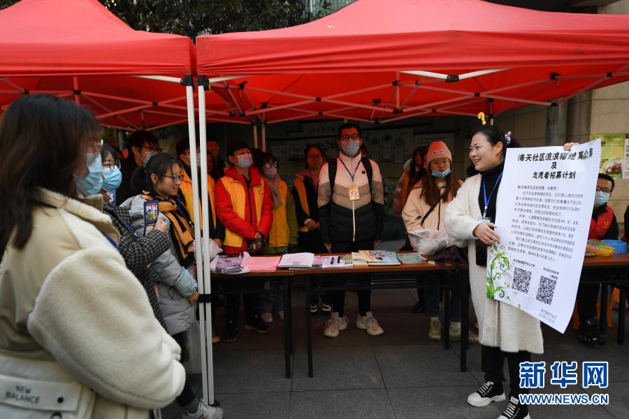 12月20日，动物保护工作者在活动上招募动物保护志愿者。当日，杭州江干区海天社区举行文明养宠宣传活动，来自社区和高校的志愿者开展宠物义诊、流浪猫领养、文明养犬宣传等，探索建立动物管理基层群众自治机制。新华社记者 翁忻旸 摄