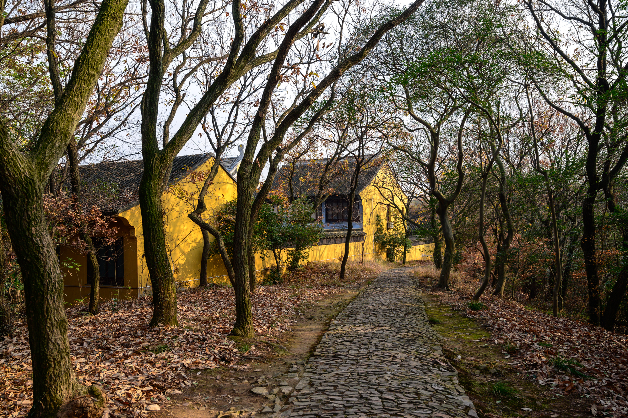 无锡藏着一座古寺,与南禅寺的历史一样悠久,知道的游客却不多