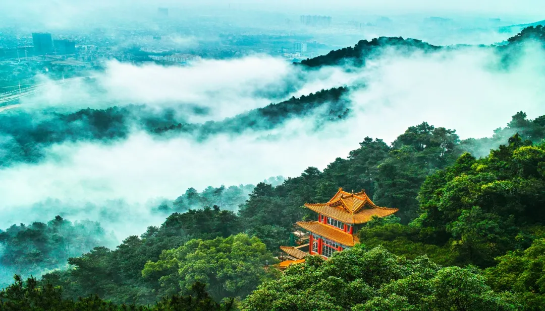 冬游广西 | 谁说冬季无绿意？走进西山和北帝山，看千山一碧