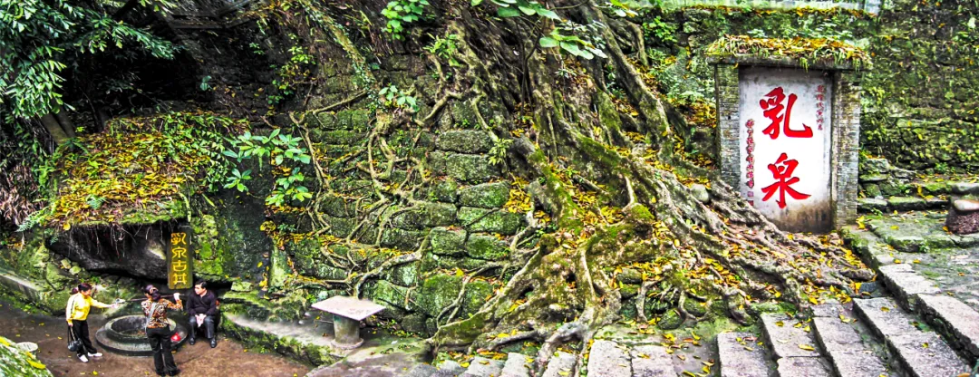 冬游广西 | 谁说冬季无绿意？走进西山和北帝山，看千山一碧