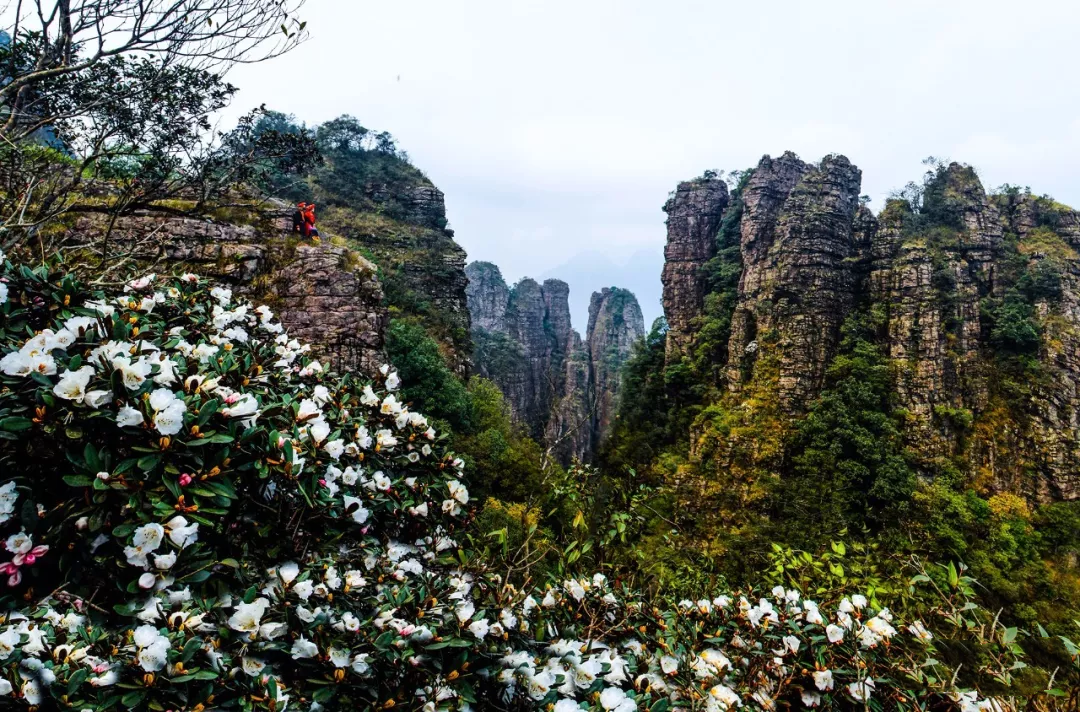 冬游广西 | 谁说冬季无绿意？走进西山和北帝山，看千山一碧