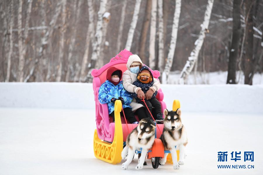 2021年1月1日，人们在新疆阿勒泰市桦林公园“桦林冬奥冰雪乐园”雪上项目区玩狗拉雪橇。新华社记者 沙达提 摄