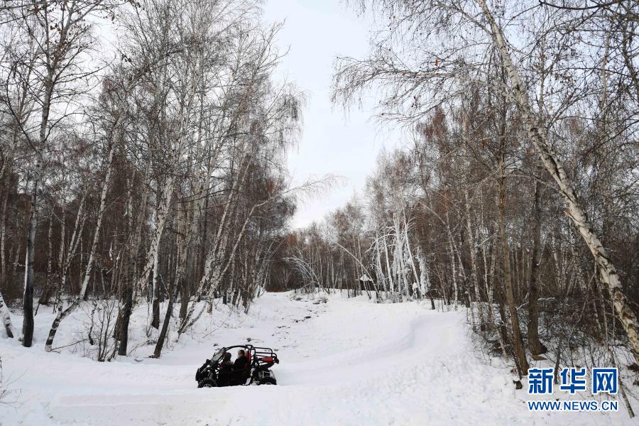 2021年1月1日，人们在新疆阿勒泰市桦林公园“桦林冬奥冰雪乐园”雪上项目区玩雪地卡丁车。新华社记者 沙达提 摄