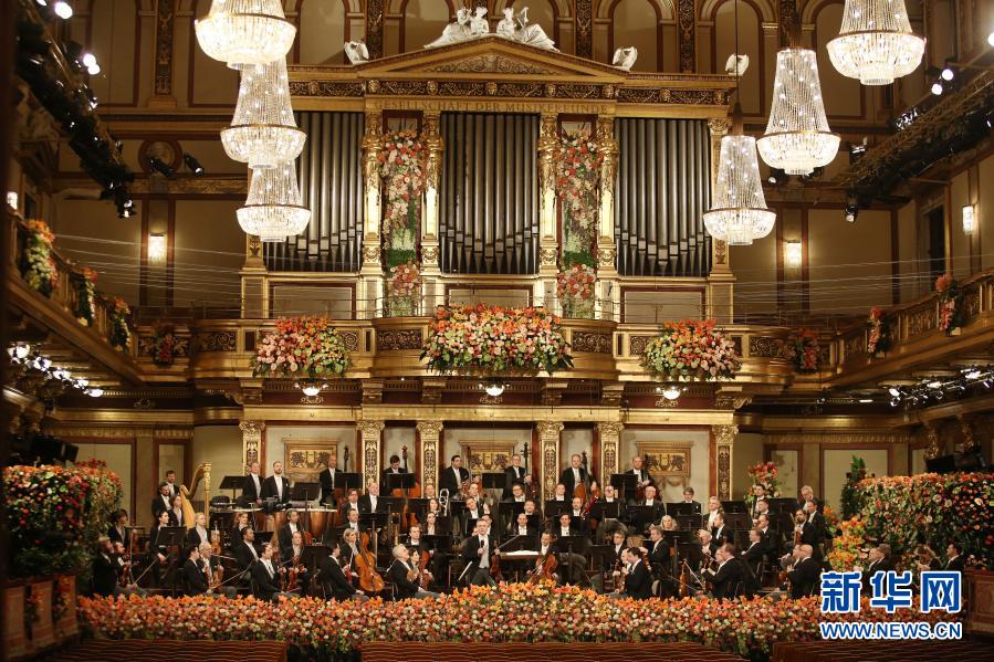 1月1日，维也纳爱乐乐团在奥地利维也纳金色大厅新年音乐会上演奏。新华社发（迪特.纳格摄）