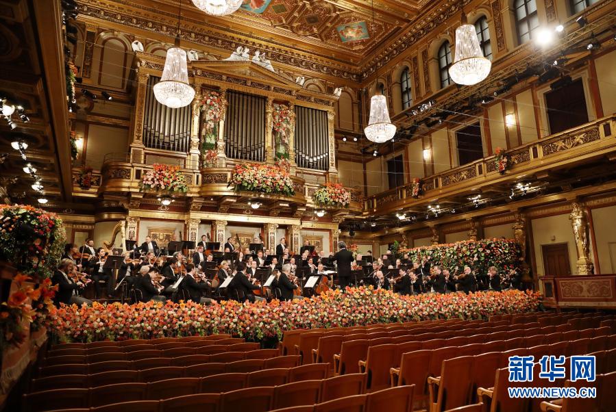 1月1日，维也纳爱乐乐团在奥地利维也纳金色大厅新年音乐会上演奏。新华社发（迪特.纳格摄）