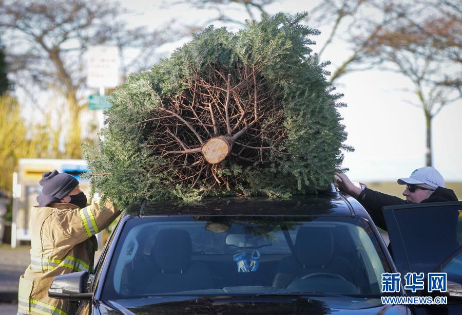 1月3日，在加拿大里士满，消防员帮助居民从车上卸下回收的圣诞树。当日，当地消防员参加每年一度的回收圣诞树活动。回收的圣诞树会被机器碎成木渣和木屑，用作堆肥或者种植用复合土。新华社发（梁森摄）