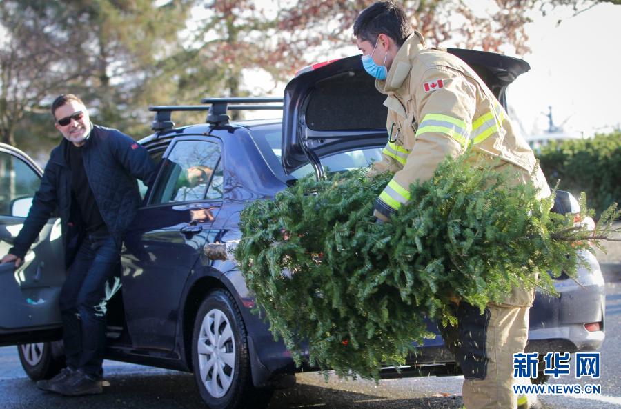1月3日，在加拿大里士满，消防员搬运回收的圣诞树。当日，当地消防员参加每年一度的回收圣诞树活动。回收的圣诞树会被机器碎成木渣和木屑，用作堆肥或者种植用复合土。新华社发（梁森摄）