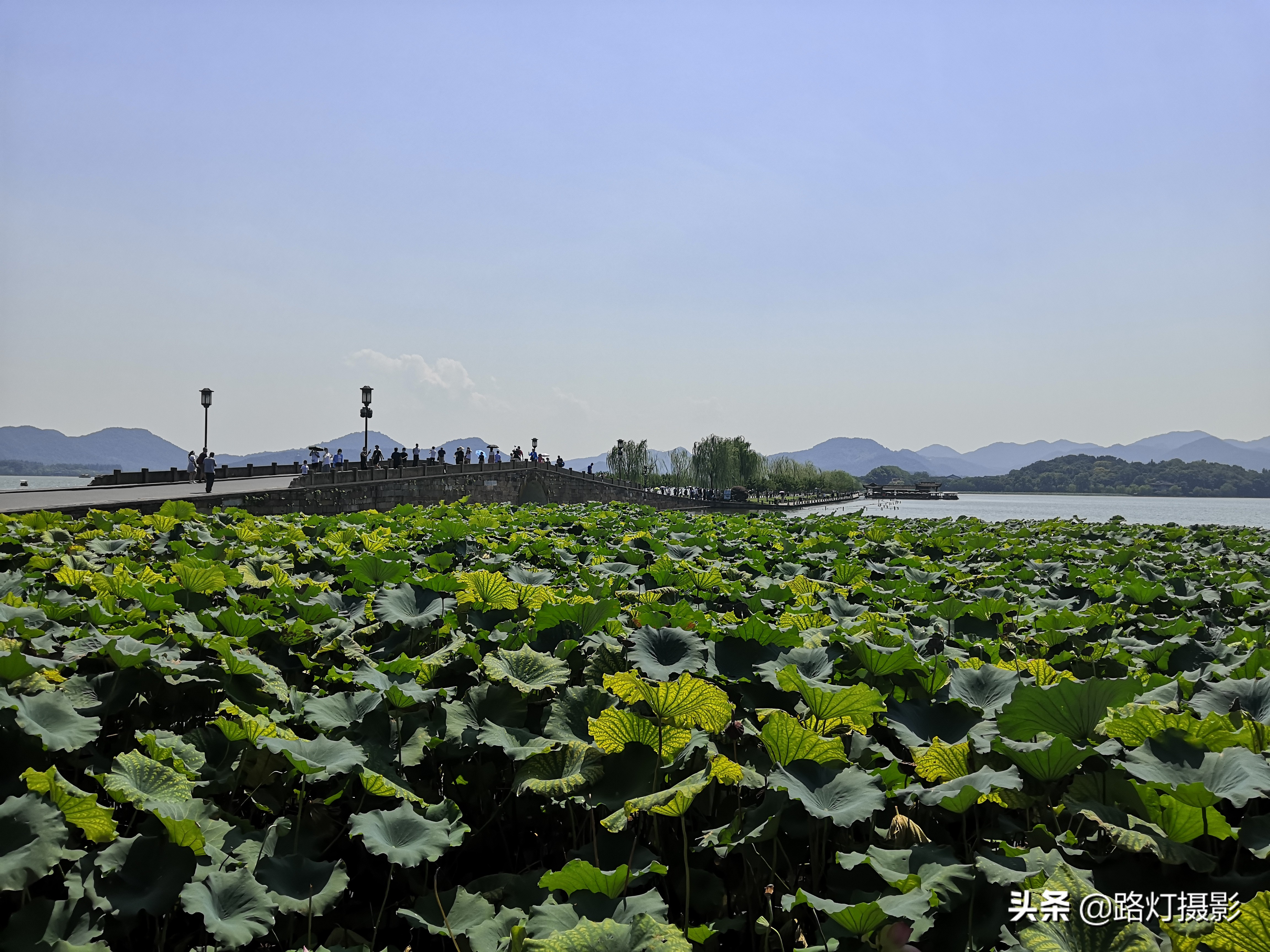 适合旅游和养老的5个新一线城市，风景好美食多，你喜欢哪一个？