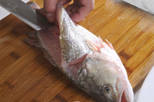 教你一招去鱼刺 吃鱼什么的很简单