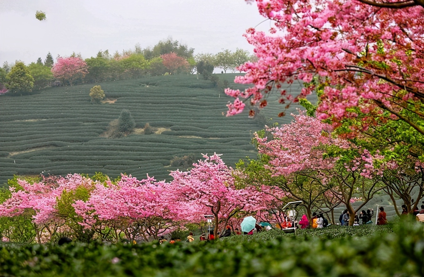 2021年第1份国内旅行清单，适合1-2月出发，请查收