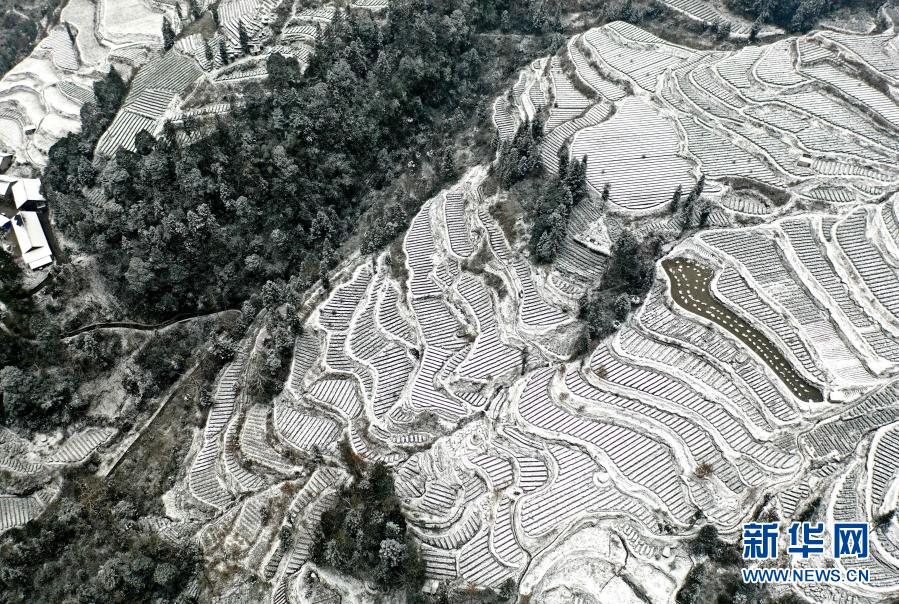 1月7日拍摄的宣恩县珠山镇咸池沟村的茶园和村庄（无人机照片）。当日，湖北省恩施土家族苗族自治州宣恩县迎来降雪，白雪覆盖的茶园和村庄宛如画卷。新华社发（宋文 摄）
