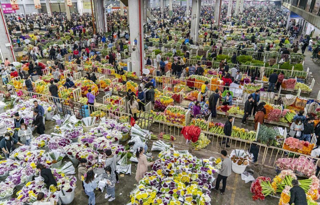 中国6大花市,全国最大的花卉批发市场介绍