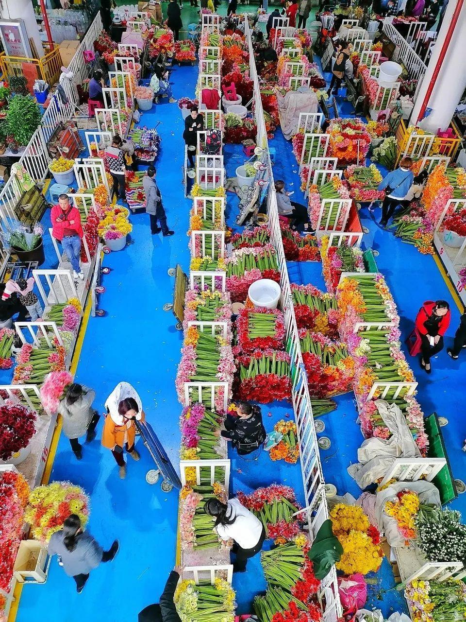 中国6大花市,全国最大的花卉批发市场介绍