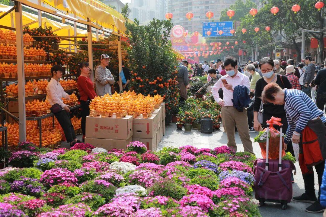 中国6大花市,全国最大的花卉批发市场介绍