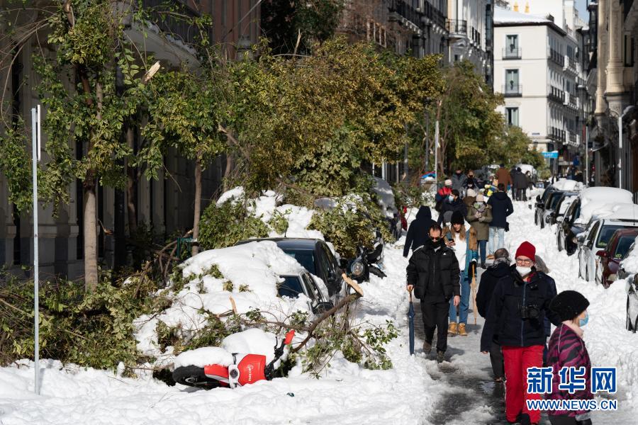 1月10日，在西班牙马德里市中心，被雪压断的树枝砸在路边停放的车辆上。西班牙内政大臣马拉斯卡10日说，风暴“菲洛梅娜”带来的暴雪和寒冷天气造成西班牙4人死亡。在受影响最为严重的中部和东部，部分地区积雪厚度接近50厘米；许多树木被积雪压倒，一些道路被阻断；大量运输车滞留在公路上。西班牙交通大臣阿瓦洛斯表示，9日交通陷入瘫痪的马德里已于10日恢复部分长途铁路运输服务。新华社记者 孟鼎博 摄