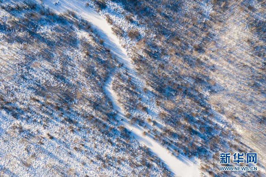 1月11日拍摄的漠河九曲十八湾风景区（无人机照片）。寒冬时节，位于“神州北极”黑龙江省漠河市的九曲十八湾风景区银装素裹，冰冻的额木尔河像大地上一条蜿蜒的白丝带，林海雪原展开一幅壮美画卷。新华社记者 谢剑飞 摄