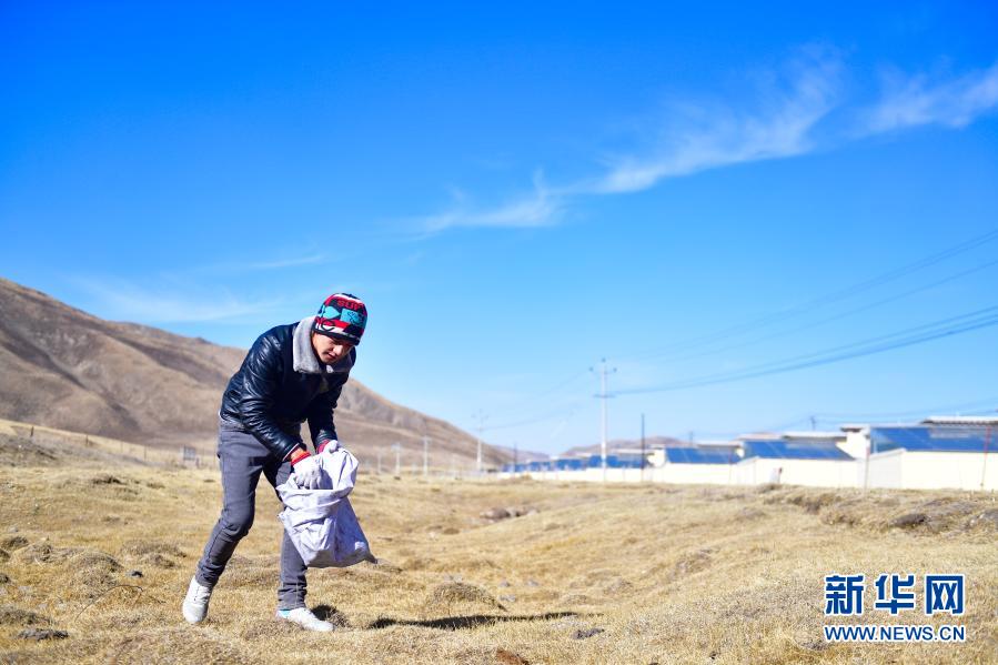 1月11日，隆亚村牧民东保在搬迁点周边的草原上捡拾垃圾。新华社记者 张龙 摄