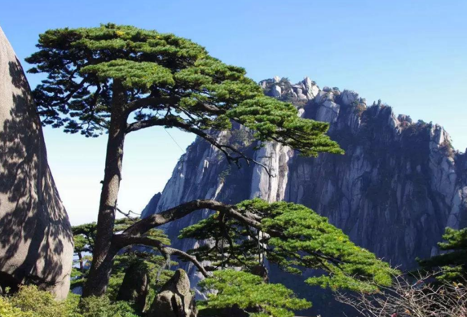 中国最美的十大名山,景色好又出名,你去过哪几座?