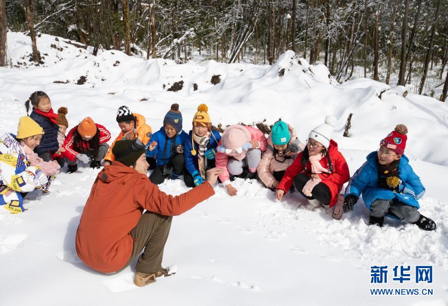 1月13日，来自四川省荥经县胡长保小学的学生在熊猫森林国际探索学校的营地里，参与寻找和识别野生动物脚印活动。新华社记者 江宏景 摄