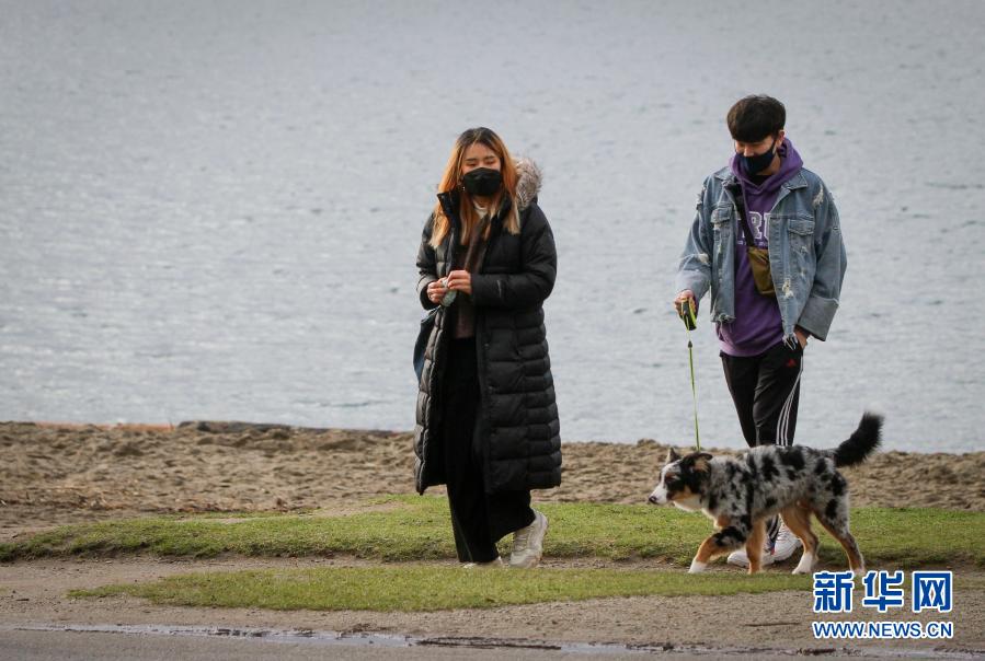1月17日，在加拿大温哥华，人们在海边遛狗。截至当地时间16日中午，加拿大累计新冠确诊病例已超过70万例。在疫情下，温哥华仍有不少民众到海滩和公园散步，舒缓应对疫情的生活压力。新华社发（梁森摄）