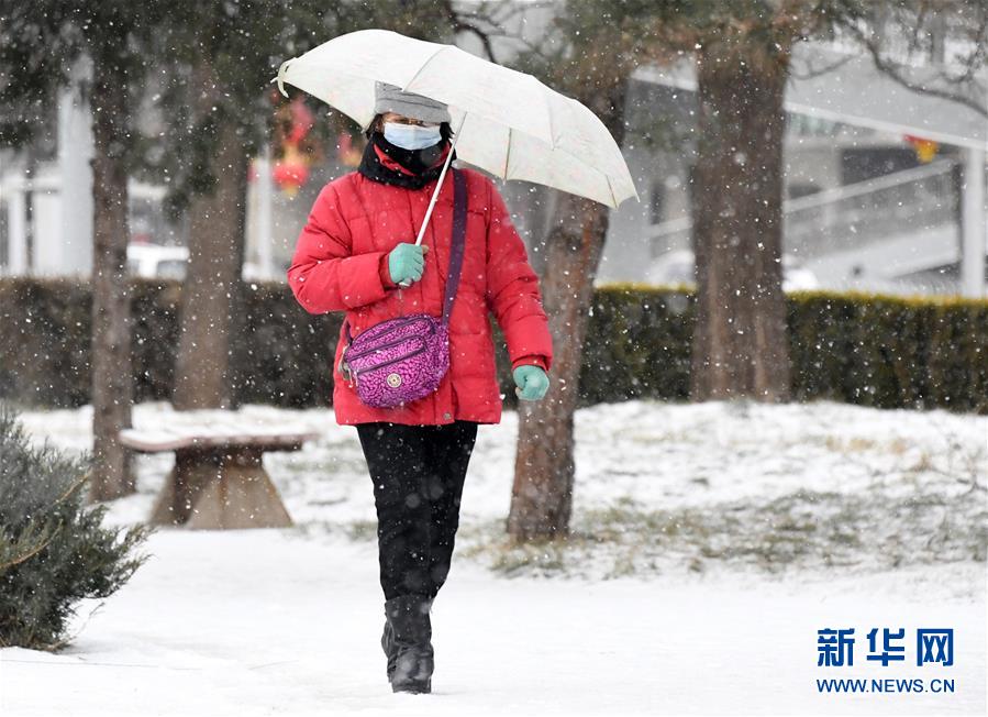 （新华视界）（3）北京降雪