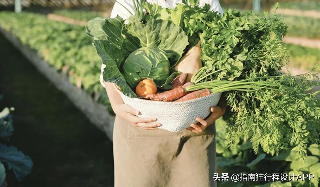 7个超适合度假的江浙沪酒店,不出省也能玩转春节假期