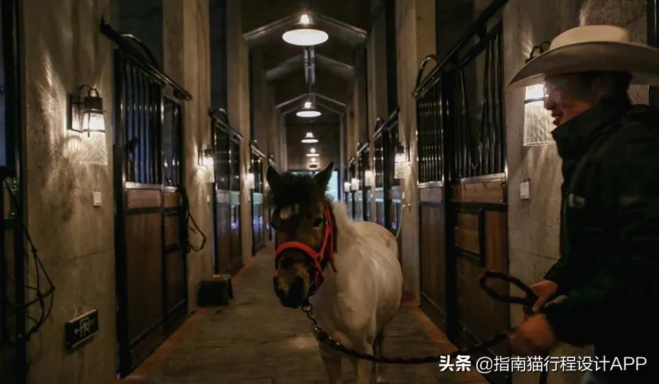 7个超适合度假的江浙沪酒店,不出省也能玩转春节假期