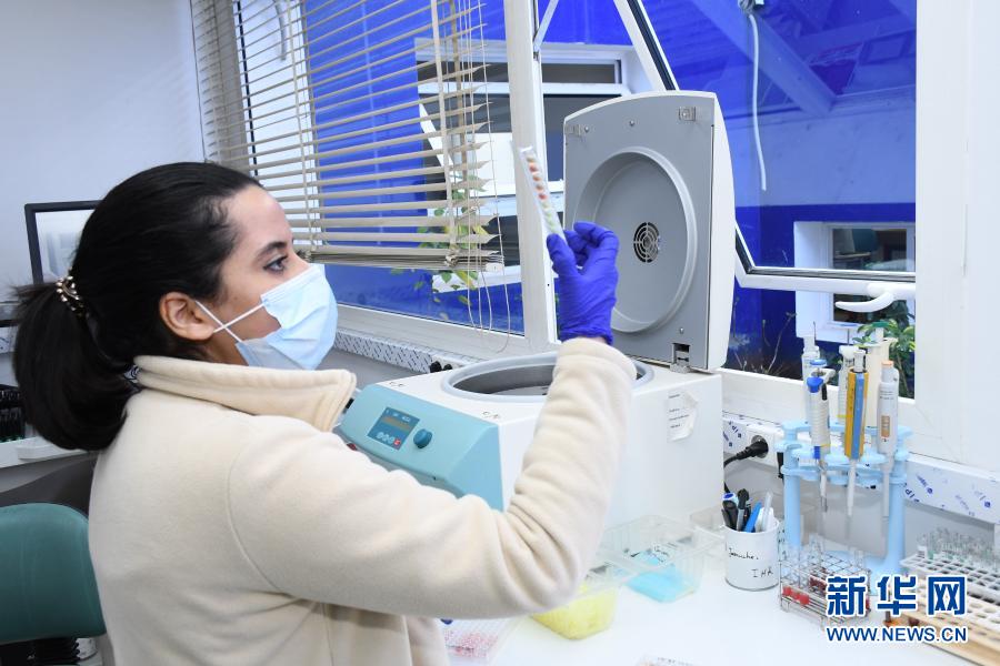 　　1月28日，工作人员在摩洛哥拉巴特的一个实验室进行新冠病毒样本检测。　　根据摩洛哥28日公布的新冠疫情数据，该国新增确诊病例756例，累计确诊469139例。　　新华社发（查迪摄）