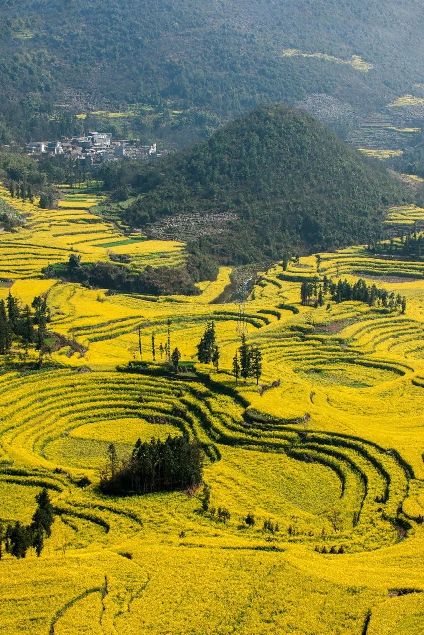 今年春色确定已提前,这些春天花海景色值得你重点关注了