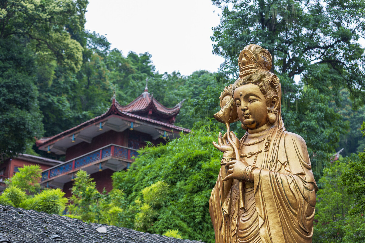 今年春色确定已提前，这些春天花海景色值得你重点关注了