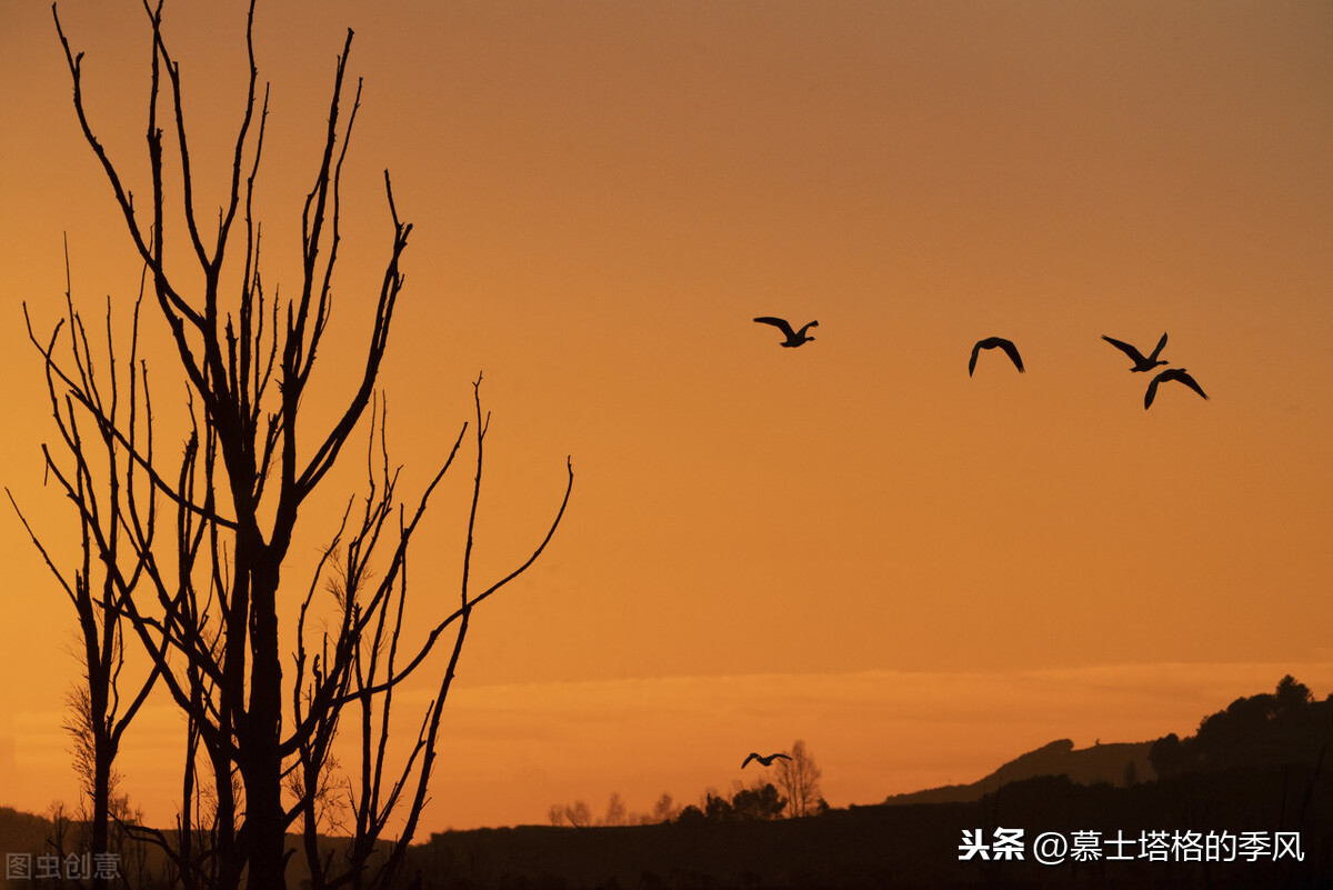 隐藏在云南各地的这5处绝世美景，你去过几个？