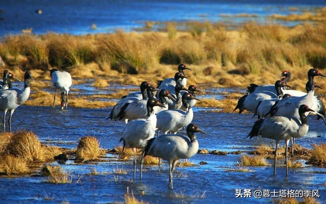 隐藏在云南各地的这5处绝世美景,你去过几个?