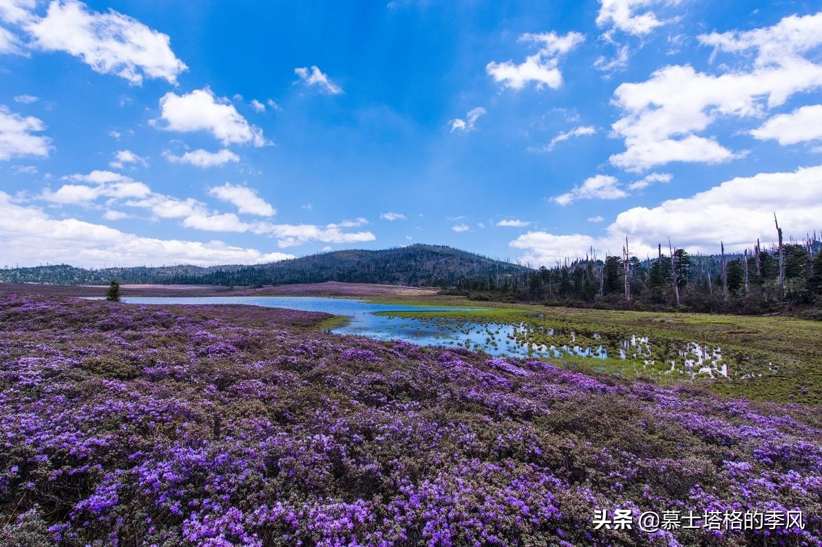 隐藏在云南各地的这5处绝世美景,你去过几个?
