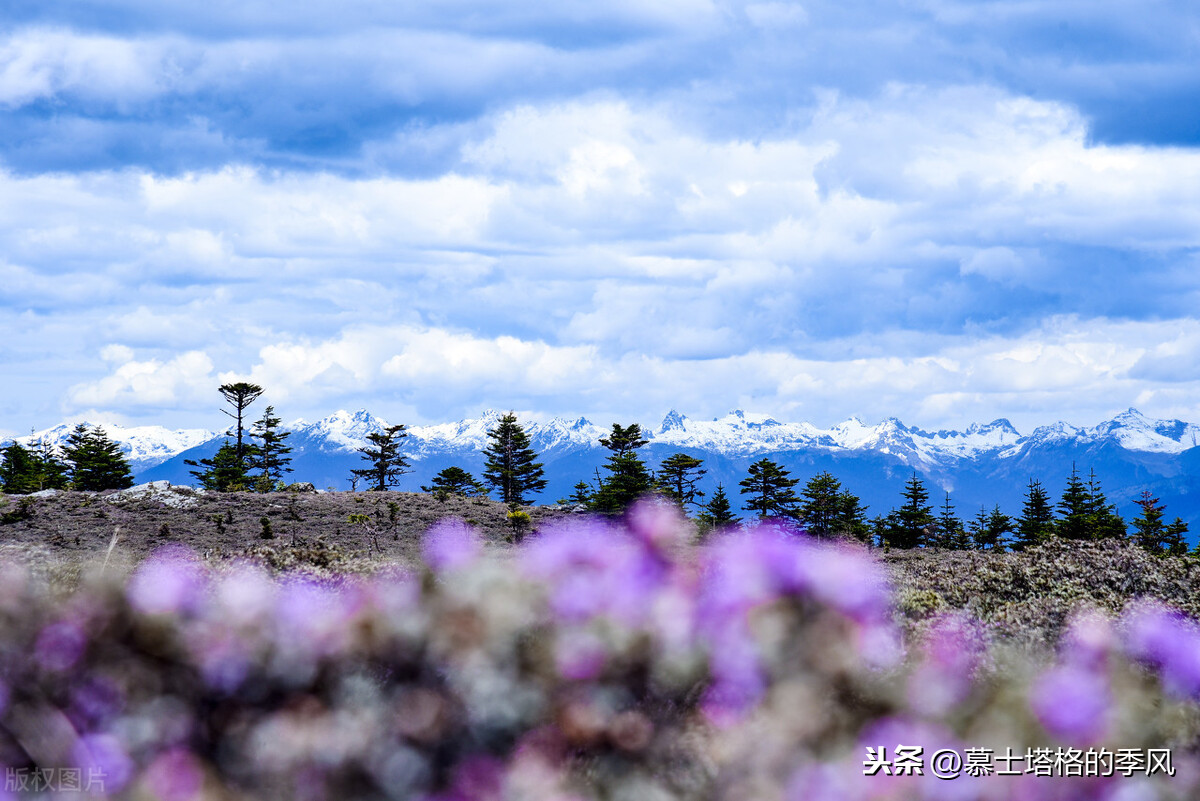 隐藏在云南各地的这5处绝世美景,你去过几个?