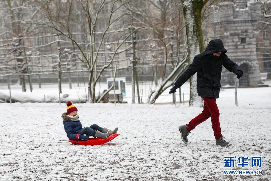 　　2月7日，人们在比利时布鲁塞尔的五十周年纪念公园玩雪。　　当日，比利时首都布鲁塞尔迎来降雪天气，众多市民外出赏雪、游玩。　　新华社记者 张铖 摄